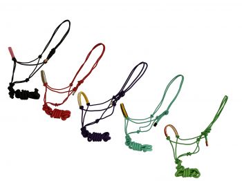 Horse size cowboy knot halter with thick noseband and matching removeable lead