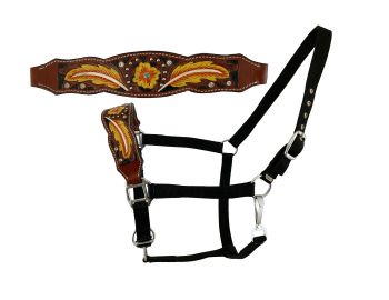Showman Adjustable nylon bronc halter with painted feather noseband