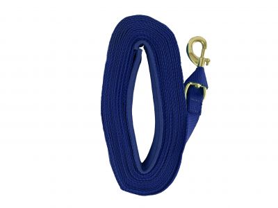 Heavy Duty 25' Web lunge line with padded handle. Replaceable brass snap and loop end #5