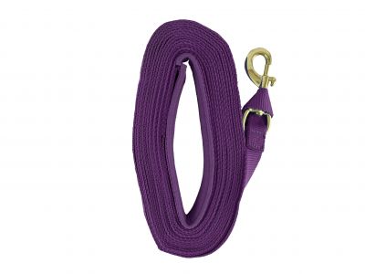 Heavy Duty 25' Web lunge line with padded handle. Replaceable brass snap and loop end #4