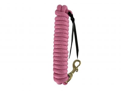 Showman 14' leather end nylon pro braid training lead #3