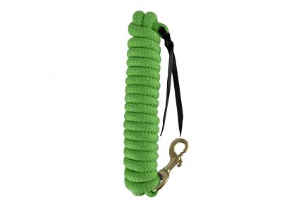 Showman 14' leather end nylon pro braid training lead #4