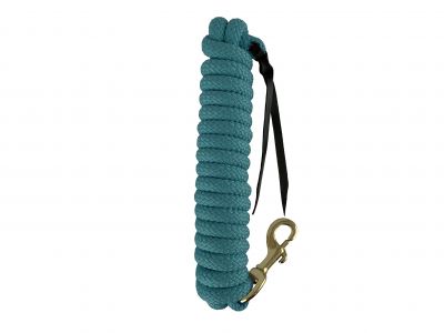 Showman 14' leather end nylon pro braid training lead #6