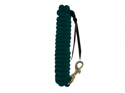 Showman 14' leather end nylon pro braid training lead #8