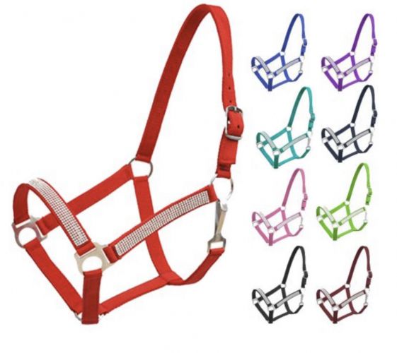 2Ply horse size nylon halter with crystal noseband and cheeks