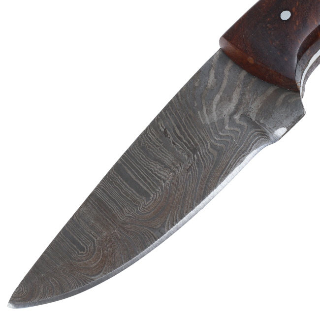 Lariat Scout - Hand-Forged Damascus Skinning Knife with Jiggered Blue Wood Handle #2