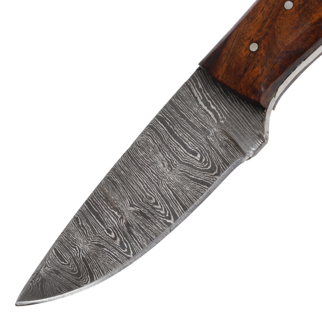 Lariat Timberline - Hand-Forged Damascus Skinning Knife with Blue & Brown Wood Handle #2