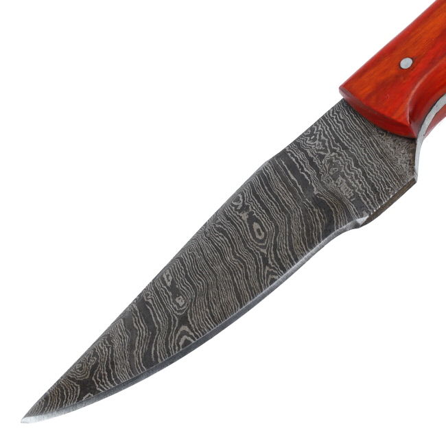 Lariat Trailboss - Hand-Forged Damascus Skinning Knife with Olive & Red Pakka Wood Handle #2