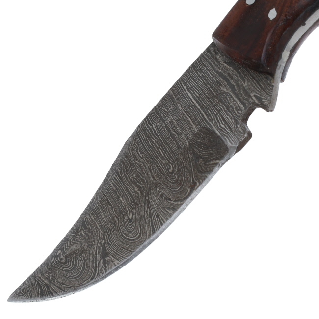 Lariat Trailhand - Hand-Forged Damascus Skinning & Camping Knife #2