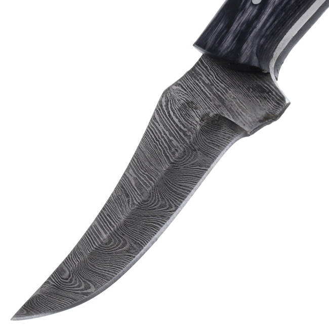 Lariat Range Point - Hand-Forged Damascus Skinning Knife with Camel Bone & Wood Handle #2