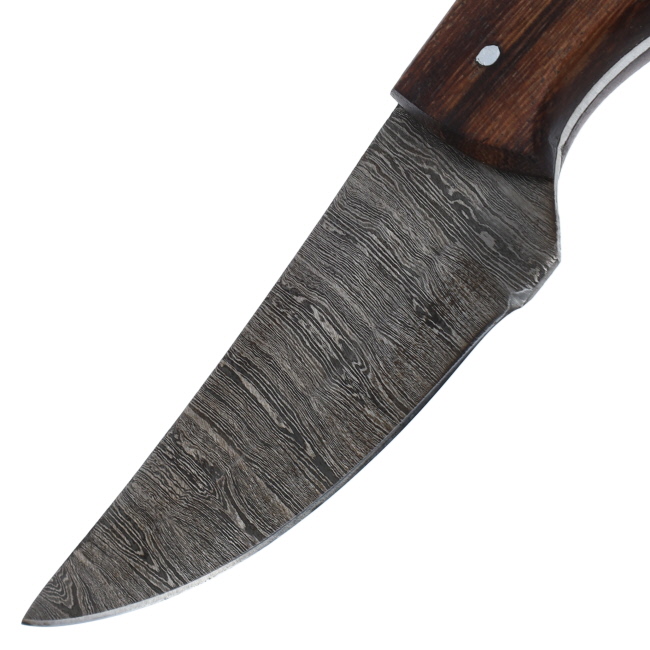 Lariat Driftwood - Hand-Forged Damascus Skinning Knife with Natural Wood Handle #2