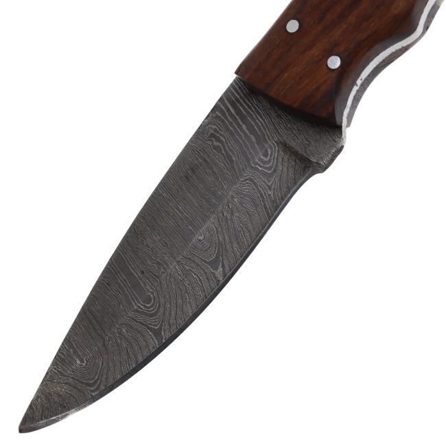Lariat Plainsman - Hand-Forged Damascus Skinning Knife with Camel Bone & Brown Wood Handle #2