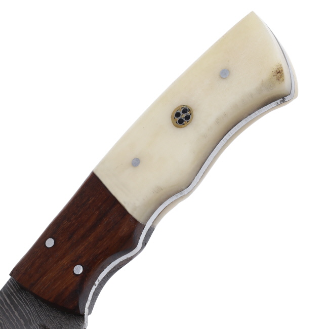 Lariat Plainsman - Hand-Forged Damascus Skinning Knife with Camel Bone & Brown Wood Handle #3