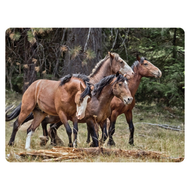 Timber Run Tempered Glass Cutting Board