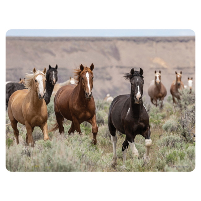 Wildstride Tempered Glass Cutting Board