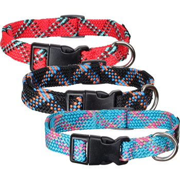 Legacy Flat Braided Dog Collar - Medium 14" - 20"