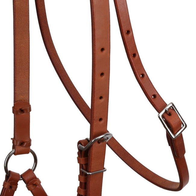 Showman Argentina Cow Leather Side Pull with Rolled Leather Nose #3
