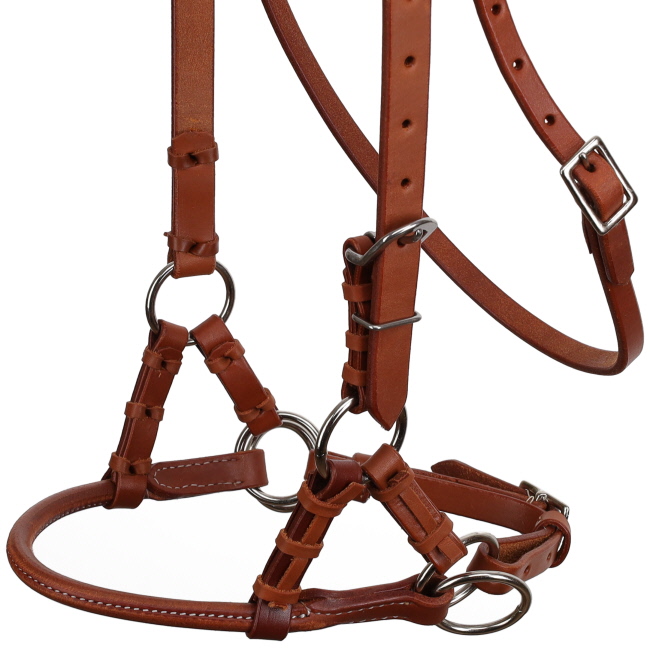 Showman Argentina Cow Leather Side Pull with Rolled Leather Nose #4