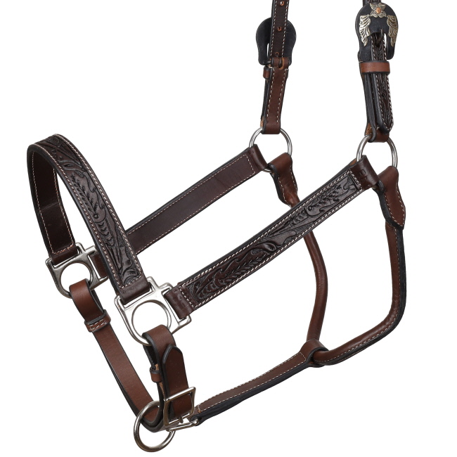 Showman Midnight Oak Argentina Cow Leather Halter #2