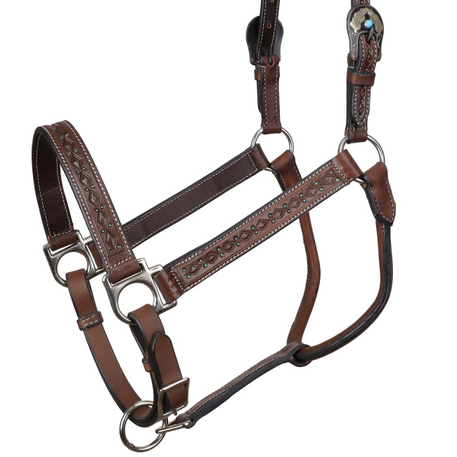 Showman Diamond Argentina Cow Leather Halter #2