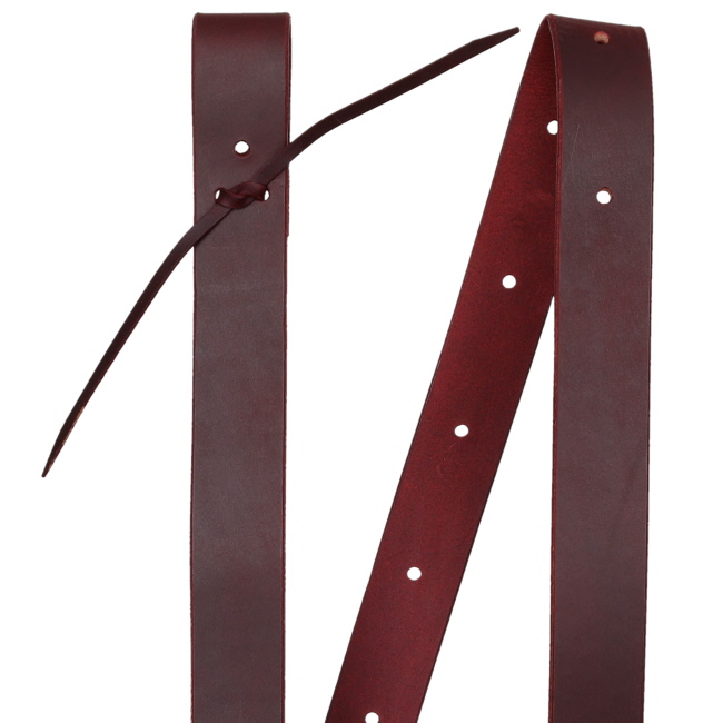 Showman 6' Argentina Cow Leather Tie Strap #2