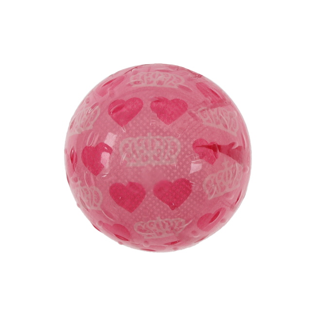 2-Pack Squeaky Dog Chew Toy #3