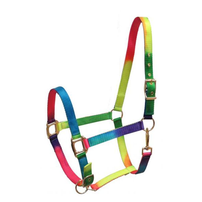 Showman Neon Rainbow Nylon Halter