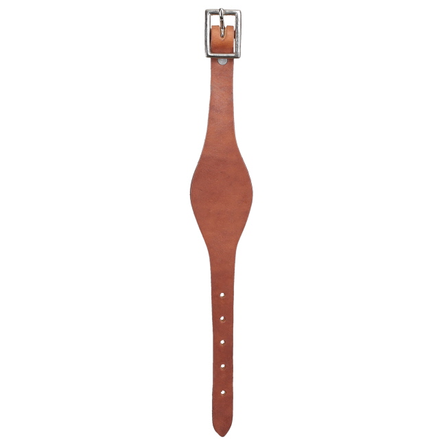 Leather Stirrup Hobble #2