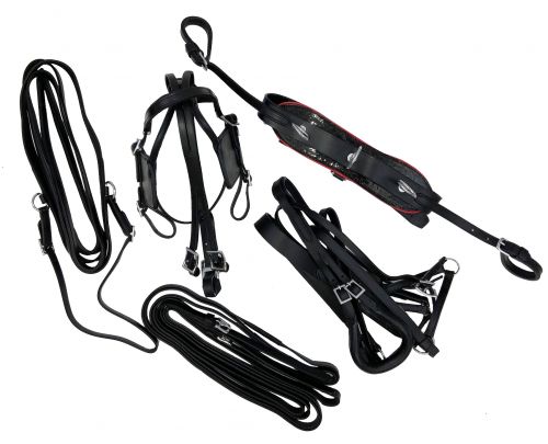 Mini Horse &#47; Small Pony leather driving harness