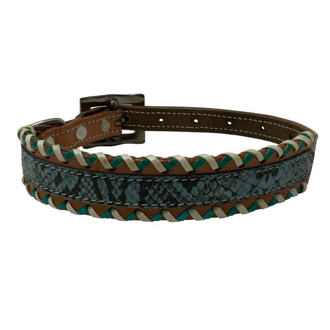 Showman Couture Teal Python Leather Dog Collar #2