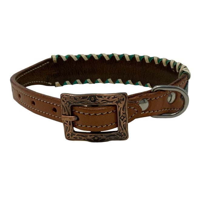 Showman Couture Teal Python Leather Dog Collar #3