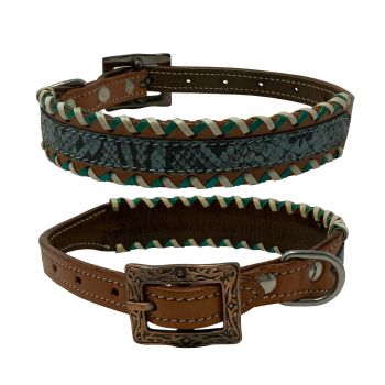 Showman Couture Teal Python Leather Dog Collar