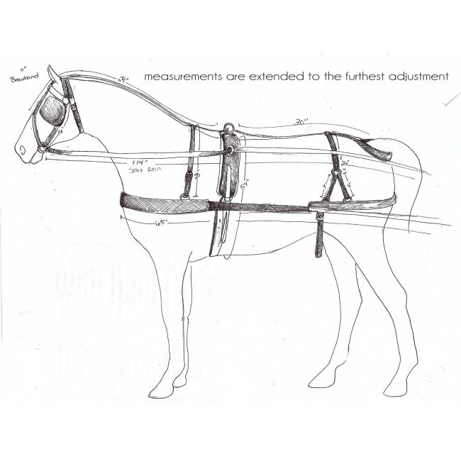 Mini Horse/Small Pony Size Leather Driving Harness #2